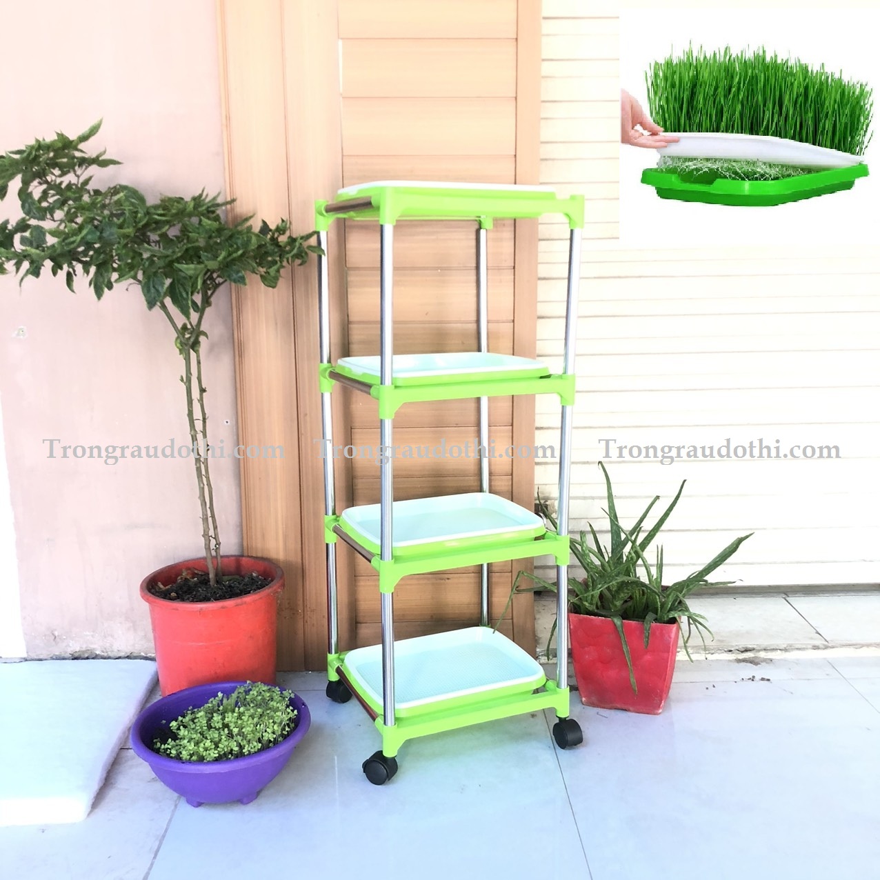 Kệ trồng rau mầm lắp ghép 4 tầng 4 chậu - Ảnh 1